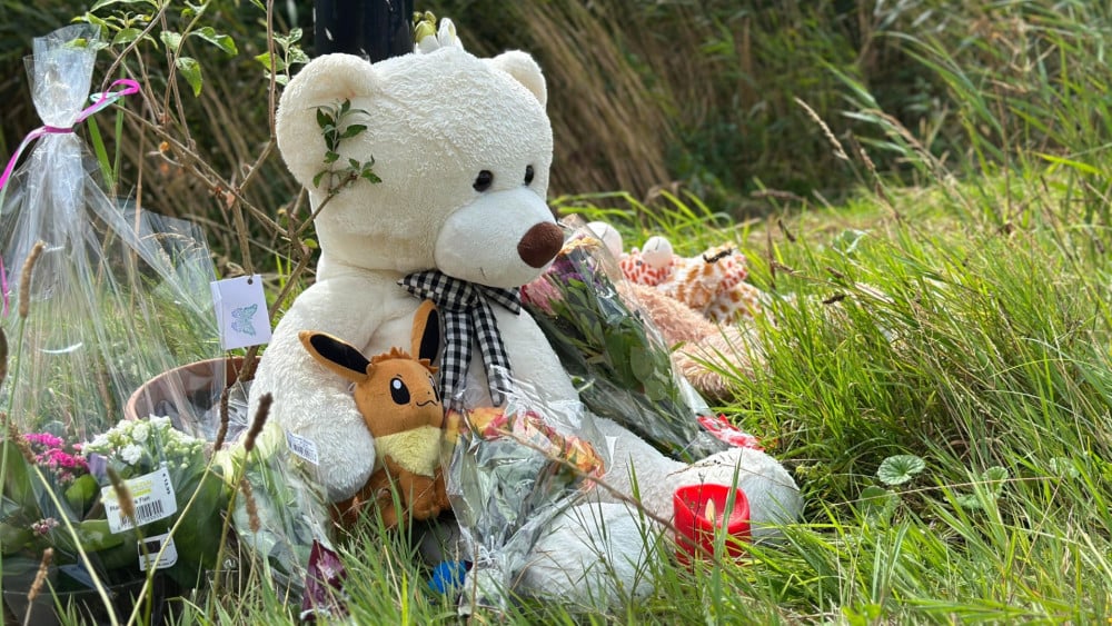 Minister: agenten keken niet in strafdossier moord Lisa, 'die indruk wil ik niet wekken'