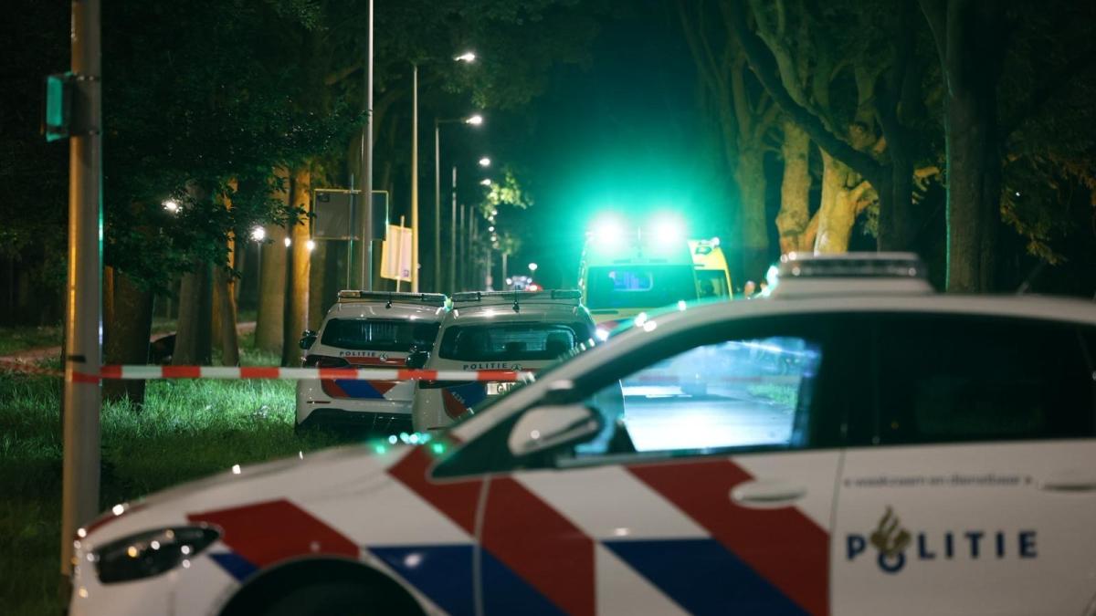 Motorrijder (55) overleden na botsing tegen boom in Geuzenveld