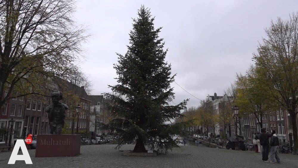 Sint komt dit weekend in het land, maar de kerstboom is hem voor dit jaar
