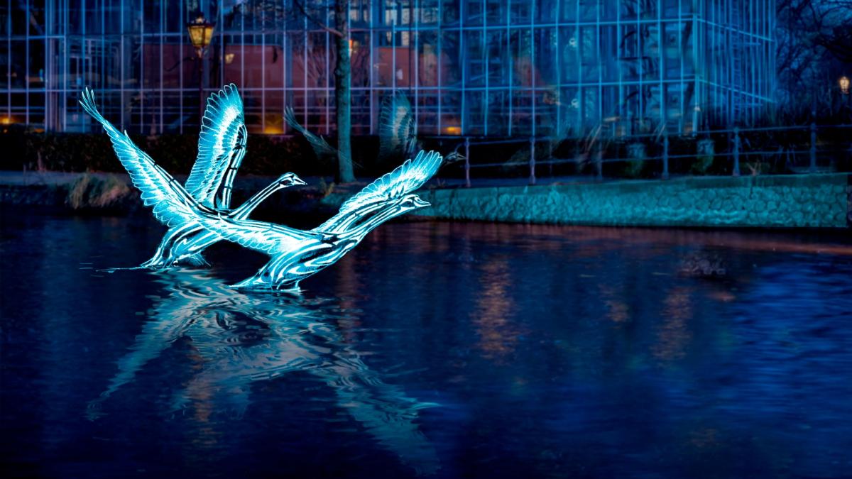 Volgende week begint het Amsterdam Light Festival weer: dit zijn de highlights
