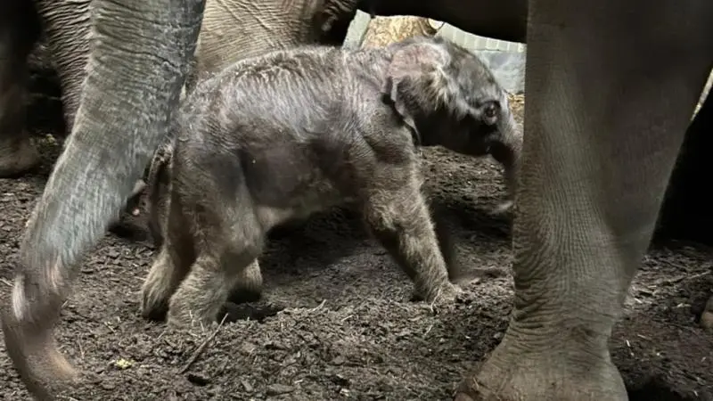 546844.18b3780.webp?width=800&ratio=16:9&quality=70