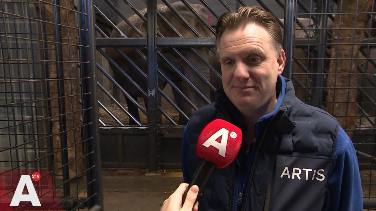 Na tien jaar krijgt een dier in Artis weer een naam: 