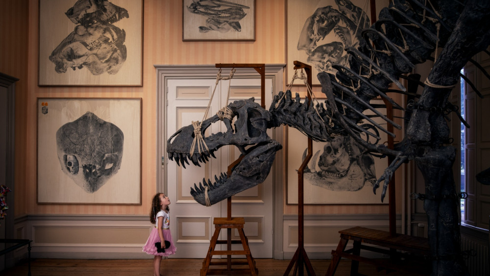 Art Zoo Museum named one of the World's Greatest Places by Time Magazine