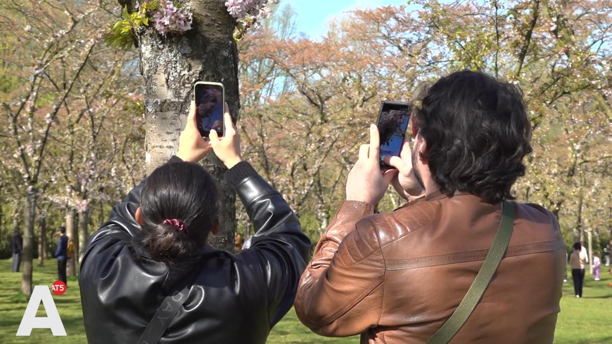 Tientallen teleurgestelde bezoekers in Amsterdamse Bos: 