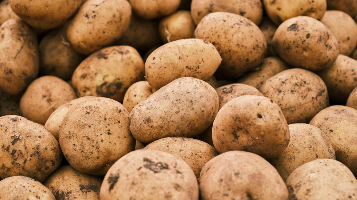 Duizenden kilo's aardappels en wortels vanavond gratis af te halen op Buikslotermeerplein