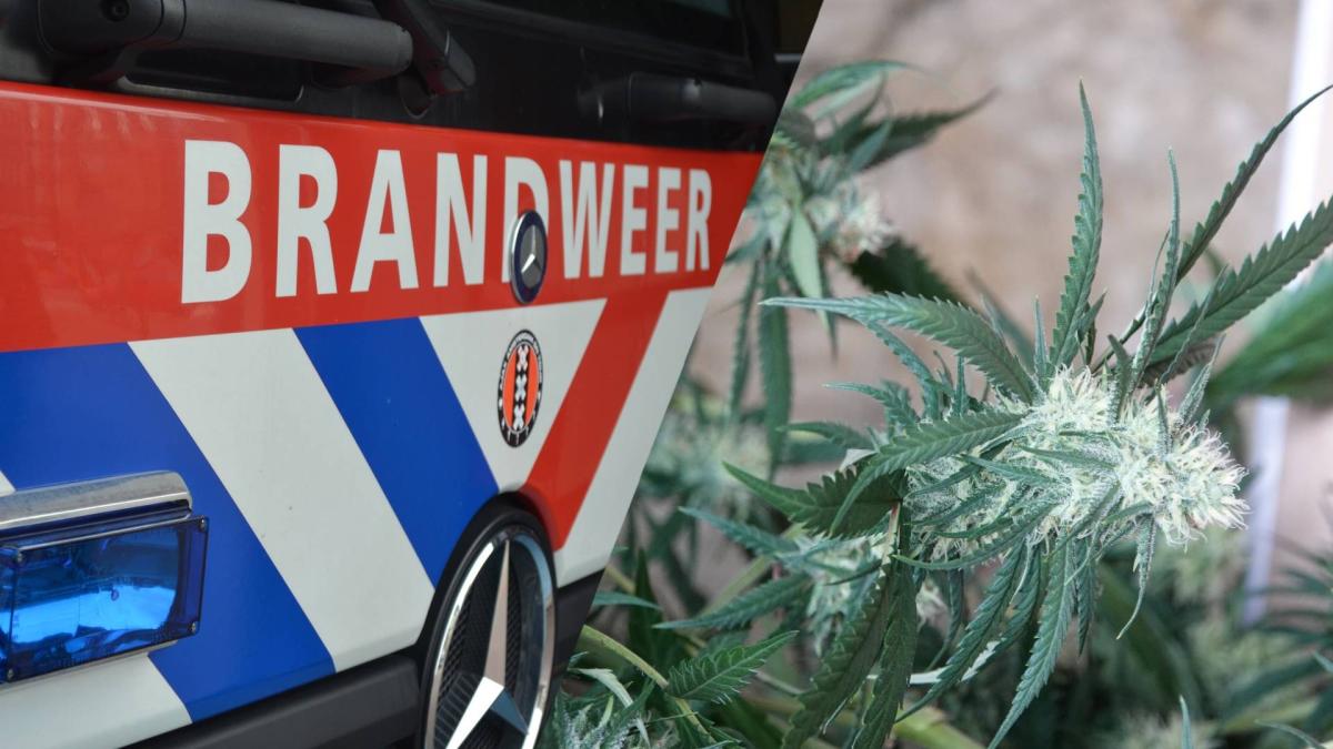 Brand bij woning in Geuzenveld, wietplantage mogelijk oorzaak