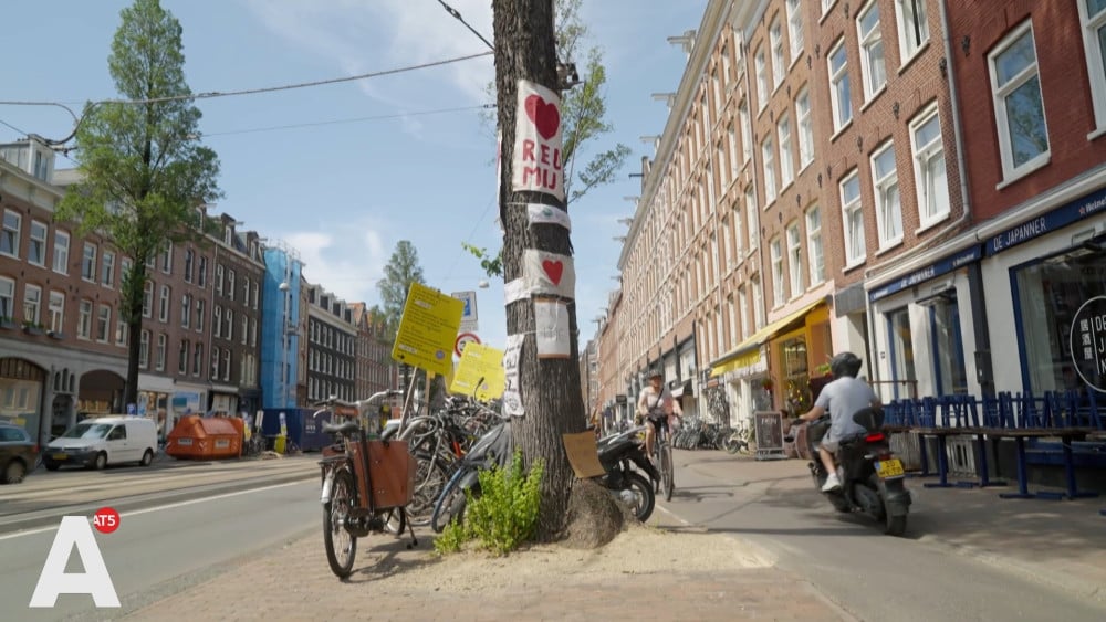 Protest tegen de kap van 60 jaar oude iep: "Biedt een balans in deze straat"