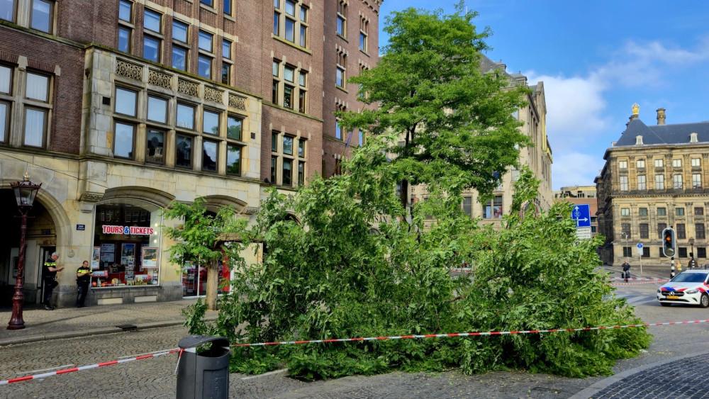 Boom dwars op de Dam, verkeer wordt omgeleid