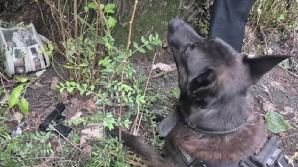 Mannen opgepakt na bedreiging met namaakpistool in Vondelpark
