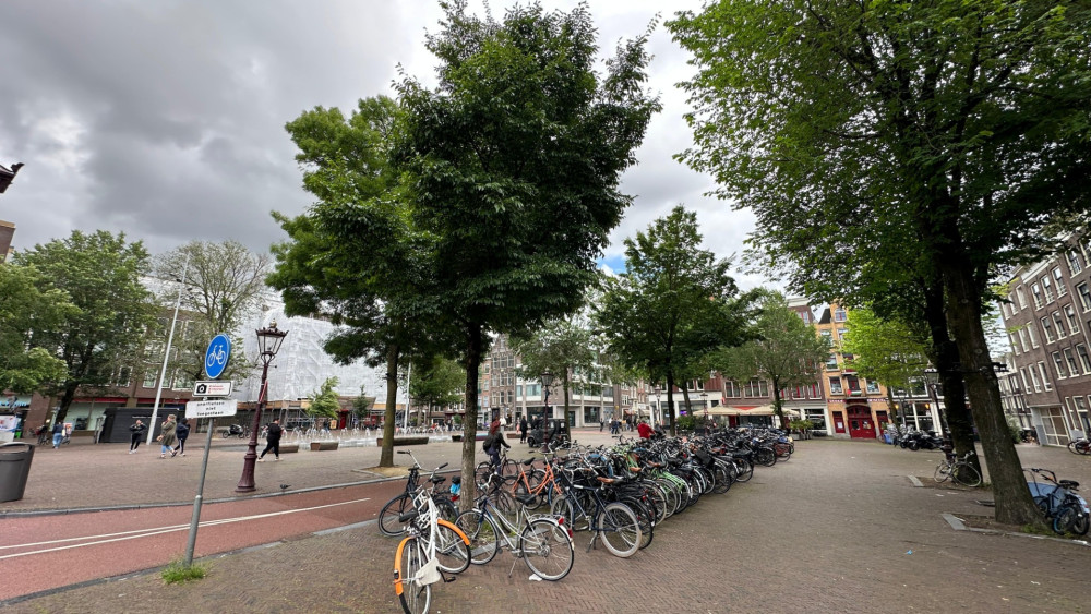 Intimidatie, wildplassen en drugsgebruik: camera's in 'verloederde' Haarlemmerbuurt