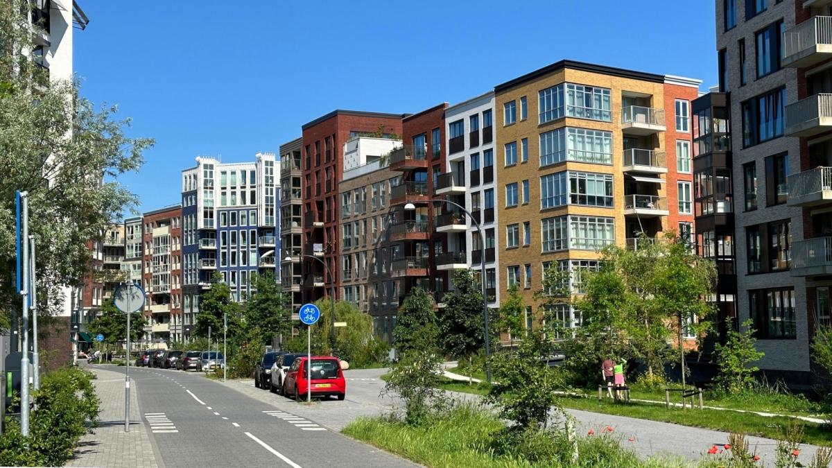 www.at5.nl