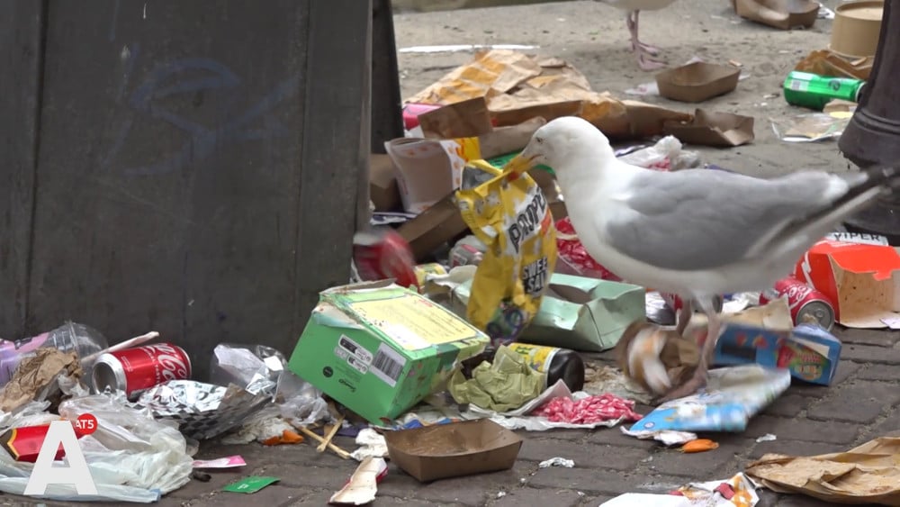 Het afvalprobleem in de stad is nog altijd enorm: "Het is een grote vuilnisbelt hier"