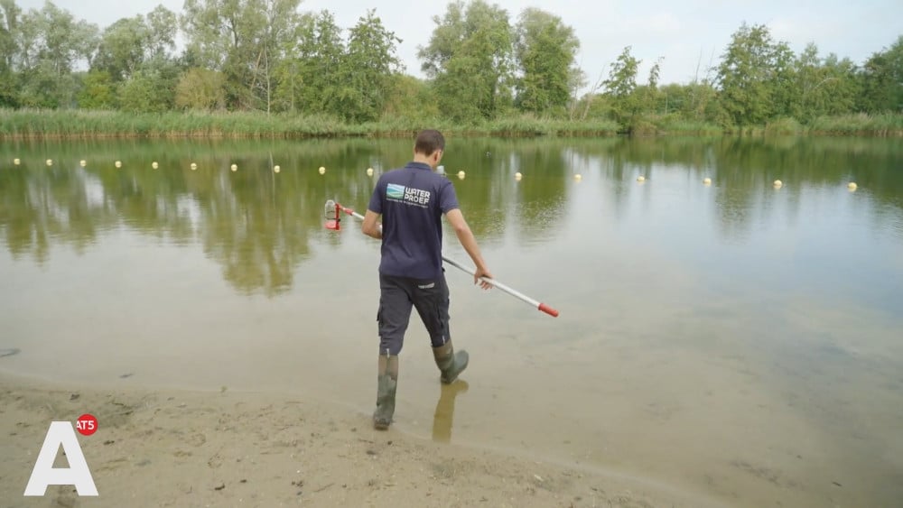 Lichte verbetering Amsterdamse waterkwaliteit: "Maar we zijn er nog lang niet"