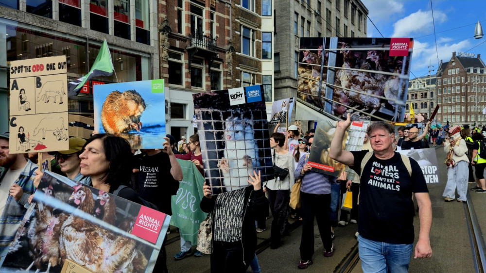 Protest tegen dierenindustrie in binnenstad: "Stop het slachten"