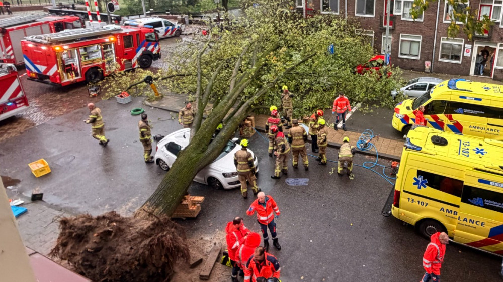 Boom valt op rijdende auto in Anne Frankstraat, bestuurder komt met schrik vrij