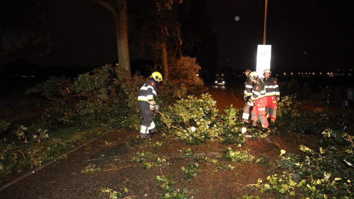 Storm Boelo trekt vanavond en vannacht over de stad: kans op afbrekende takken