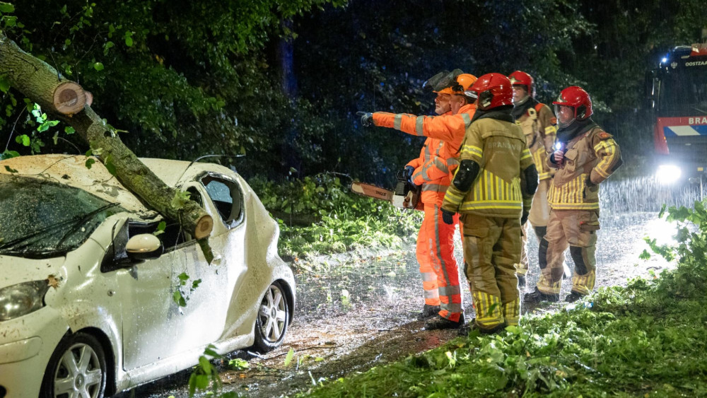 Boom valt op rijdende auto, bestuurder met spoed naar ziekenhuis